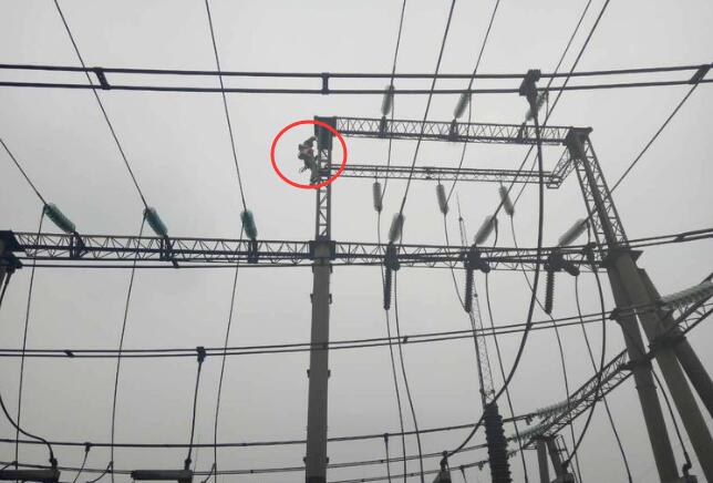 综合型智能超声波驱鸟器 为?；け涞缯厩裉峁┯辛χС? width=