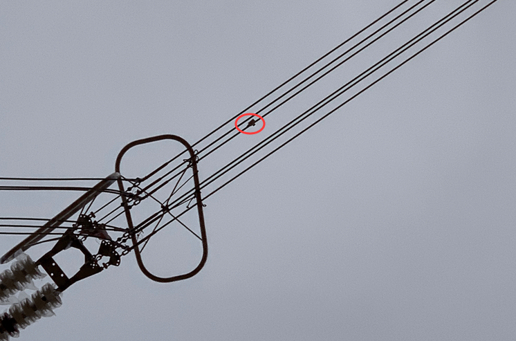 初心如磐，特力康高压输电线路导线温度在线监测系统