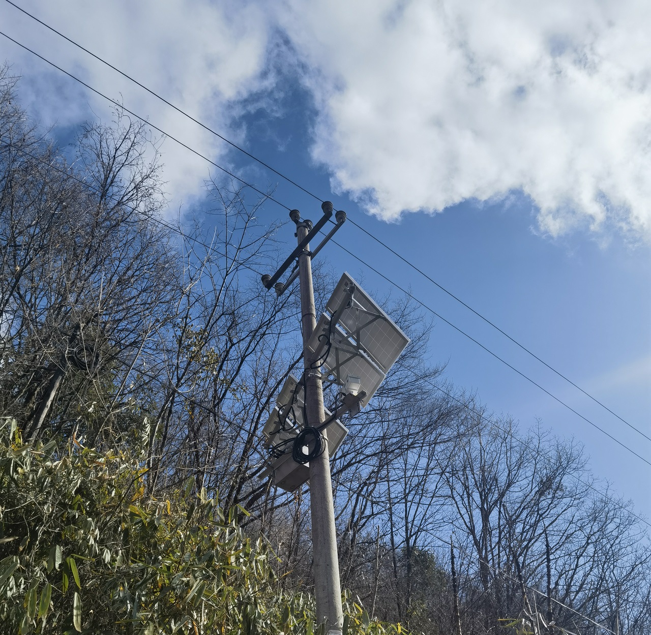 深圳特力康输电线路防山火视频监控系统